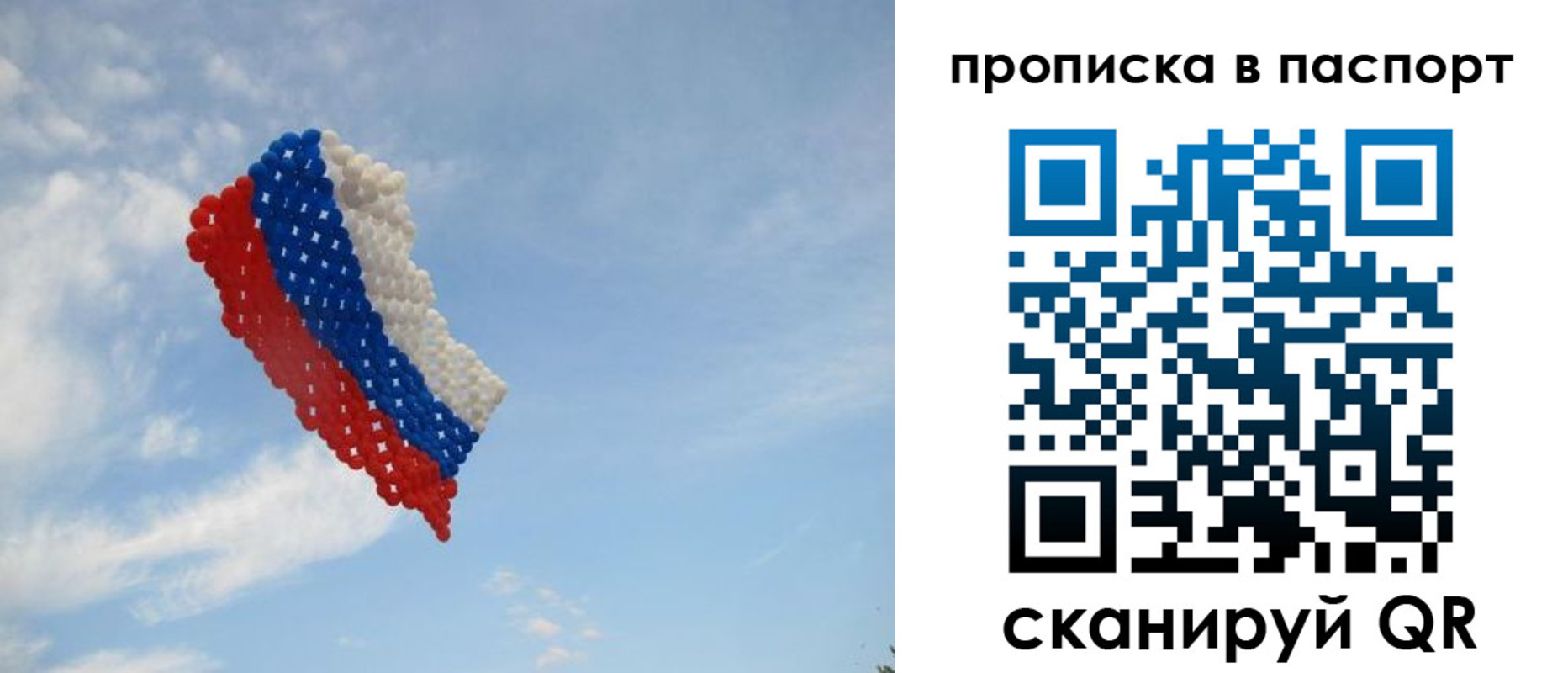 найти адрес прописки в Ельне